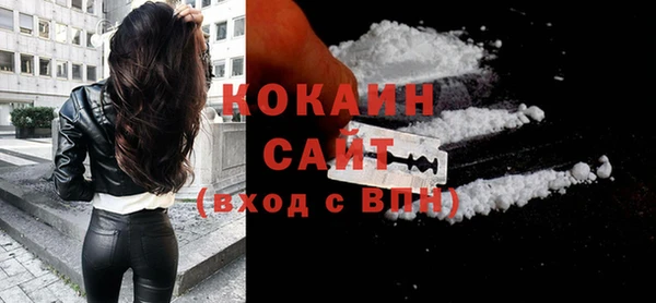 индика Абинск