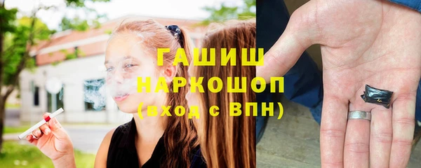 индика Абинск