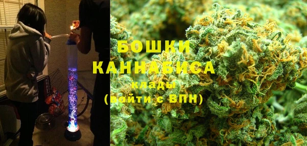 индика Абинск
