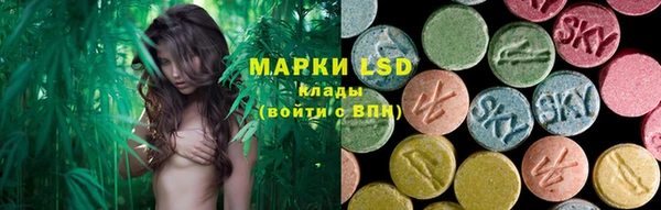 индика Абинск