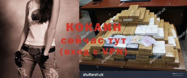 ГАЛЛЮЦИНОГЕННЫЕ ГРИБЫ Алексин